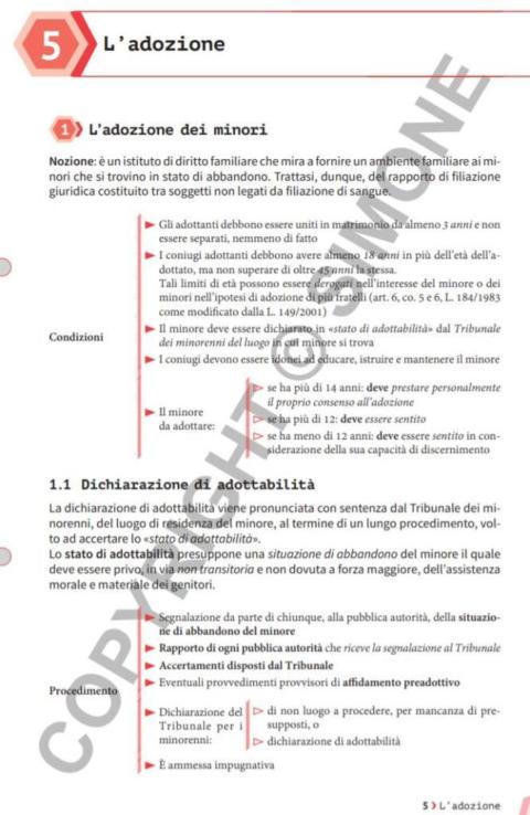 Schemi Di Diritto Privato | Studiare Diritto Facile